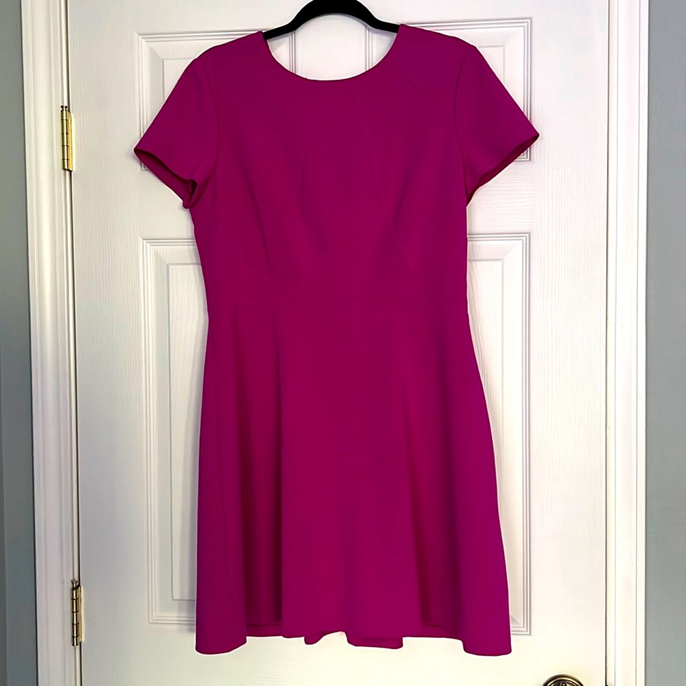 Tahari Scuba Fit & Flare Dress. Pink / Magenta. 12 Petite